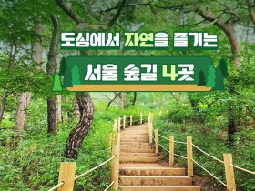 도심에서 자연을 즐기는 서울 숲길 4곳